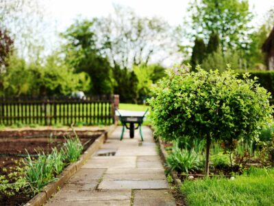 Ramsgate landscaping contractor